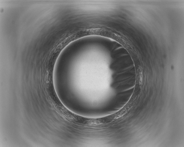 X0000059240750200510281930