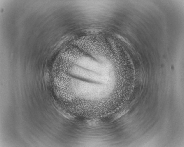 X0000059240761200510281930