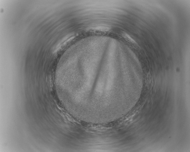 X0000059240774200510281930