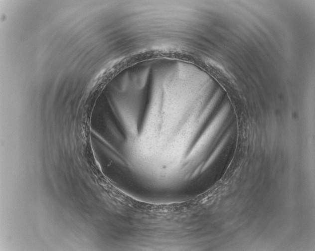 X0000059240776200510281930