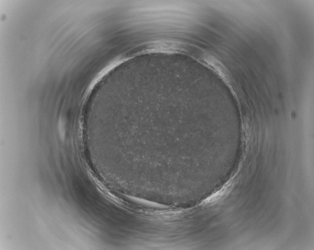 X0000059240779200510281930