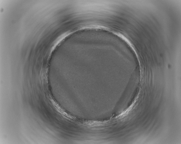 X0000059240783200510281930