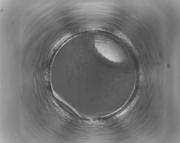 X0000059240785200510281930