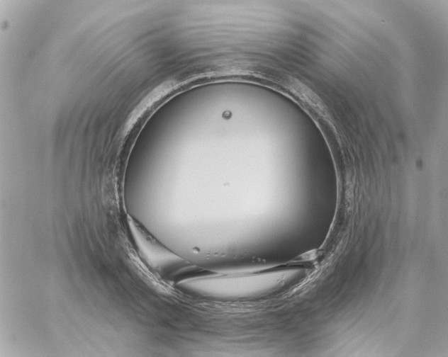 X0000059240789200510281929