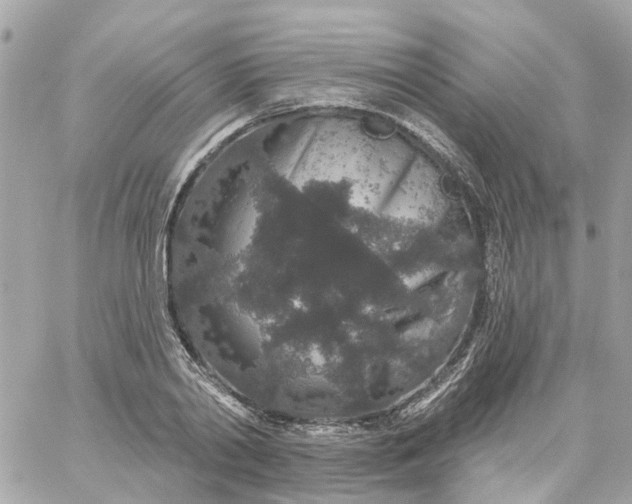 X0000059240790200510281929