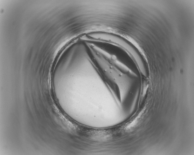 X0000059240791200510281929