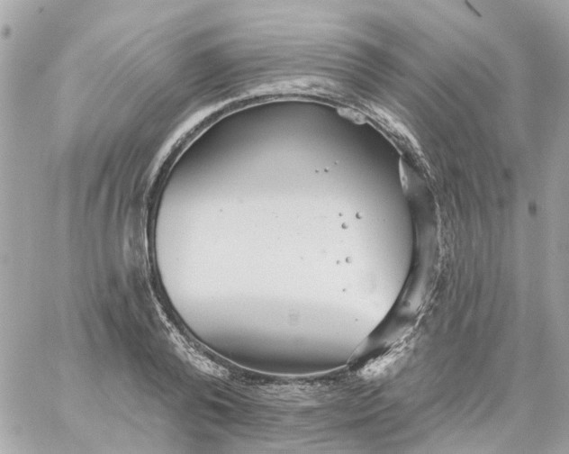 X0000059240792200510281929