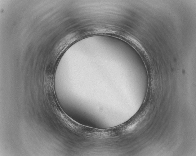 X0000059240793200510281929