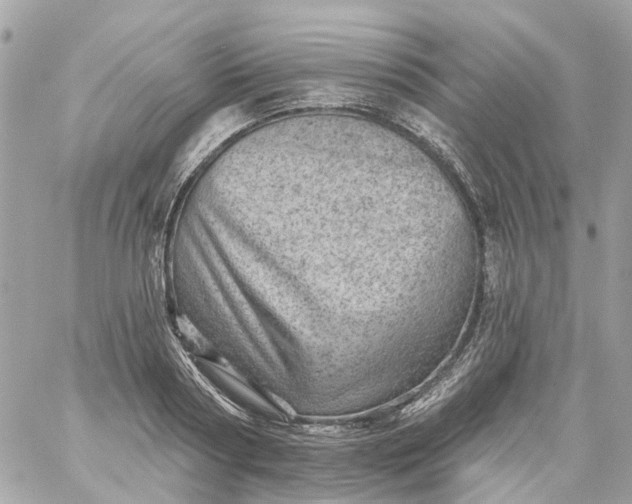 X0000059240794200510281929