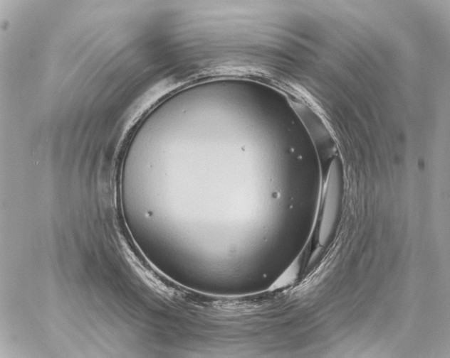 X0000059240795200510281929