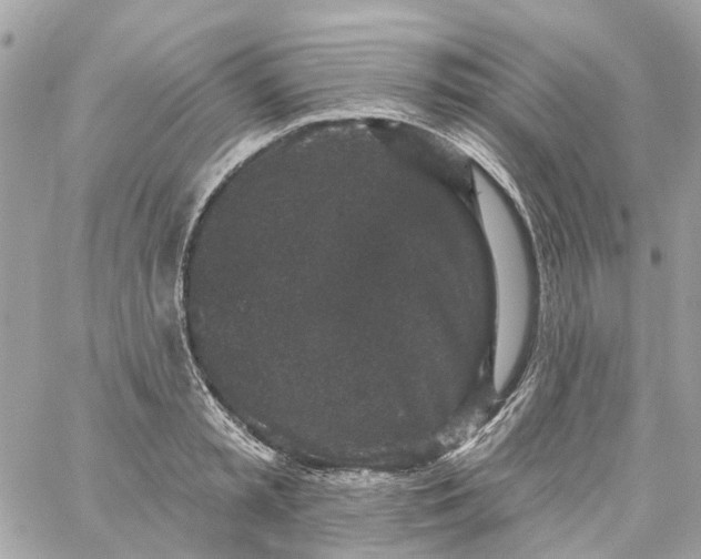 X0000059240797200510281929