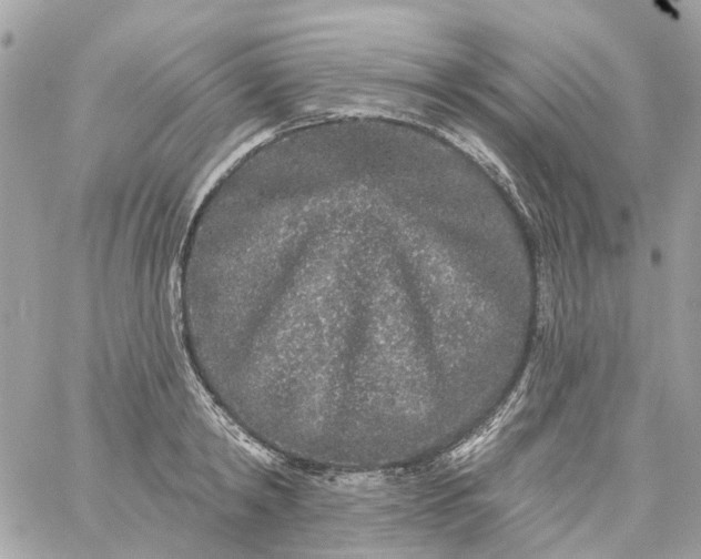 X0000059240798200510281929