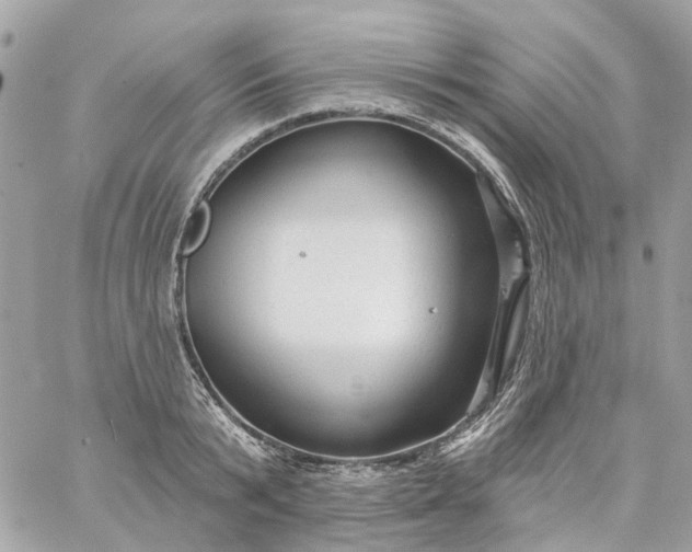 X0000059240799200510281929