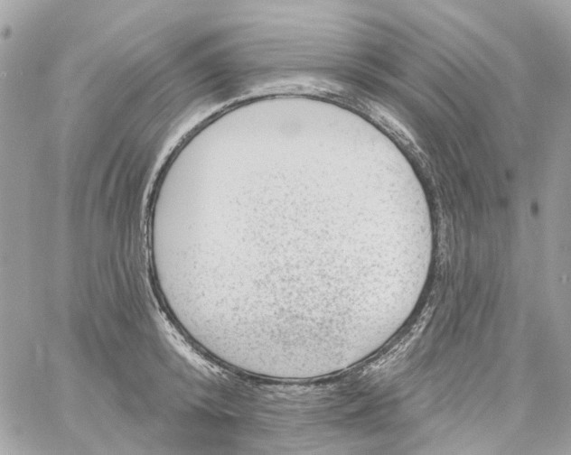 X0000059240800200510281929