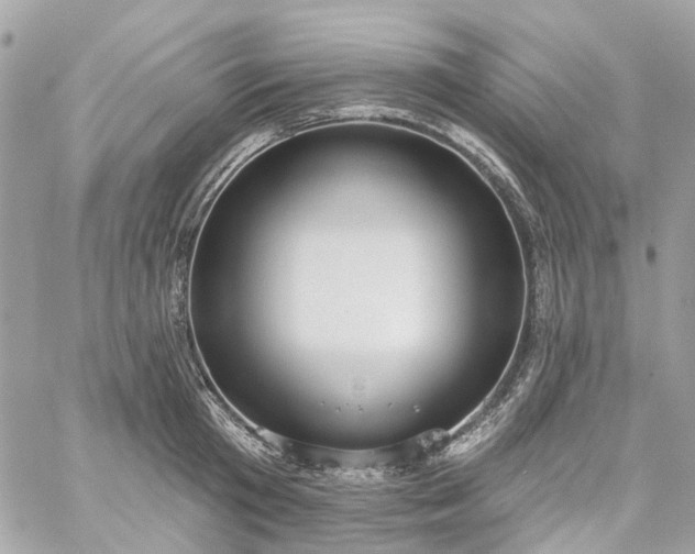 X0000059240801200510281929