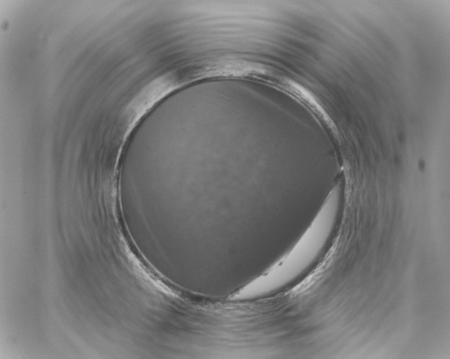 X0000059240802200510281929