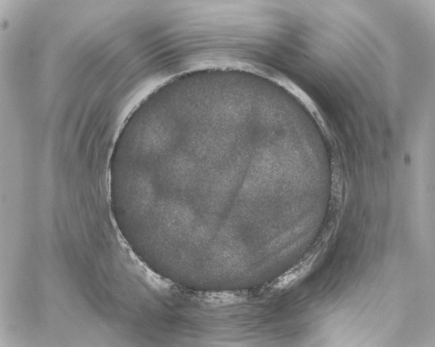 X0000059240807200510281929