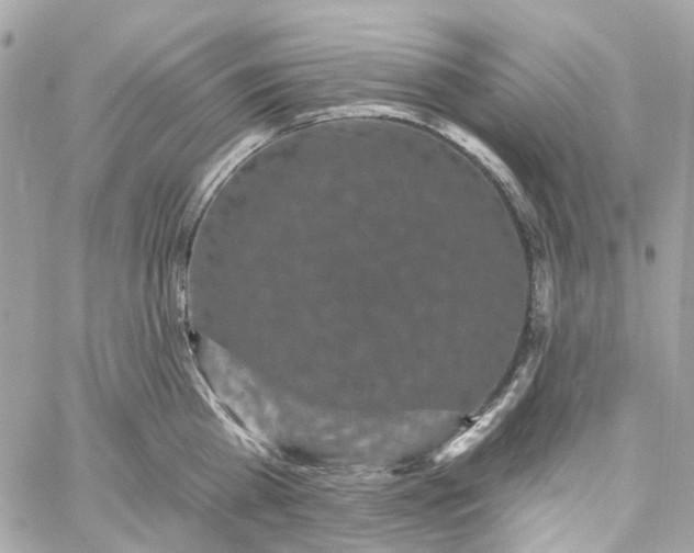 X0000059240809200510281929