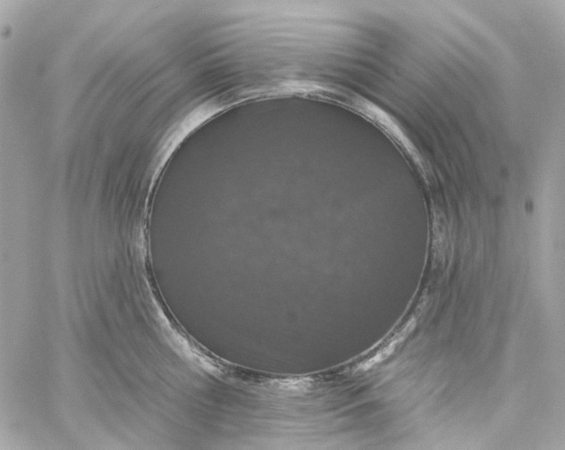 X0000059240810200510281929