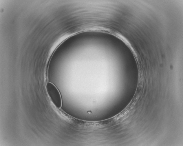 X0000059240811200510281929