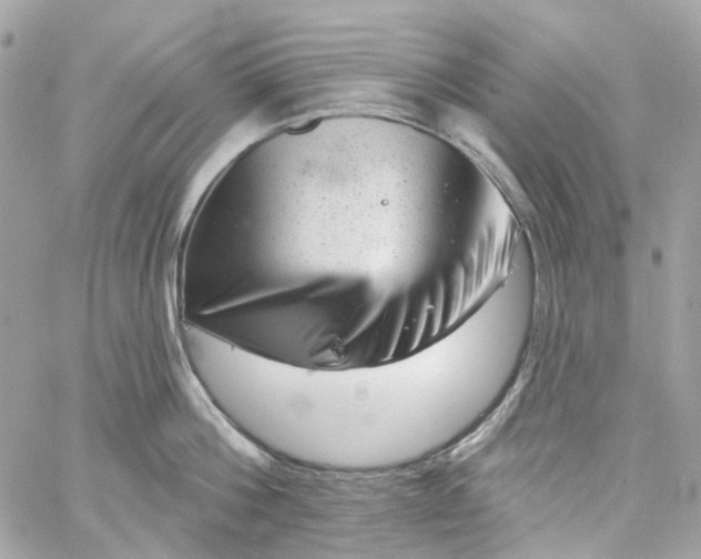 X0000059240812200510281929
