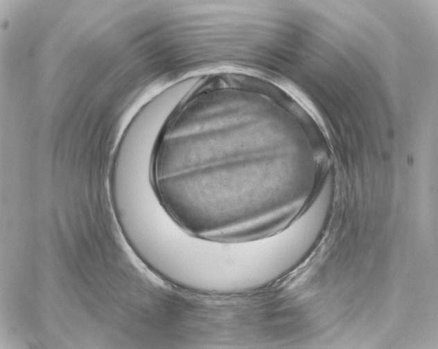 X0000059240813200510281929