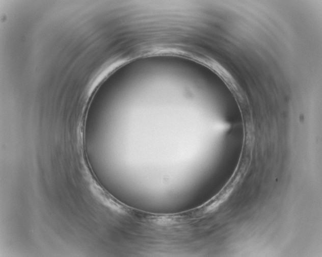 X0000059240814200510281929