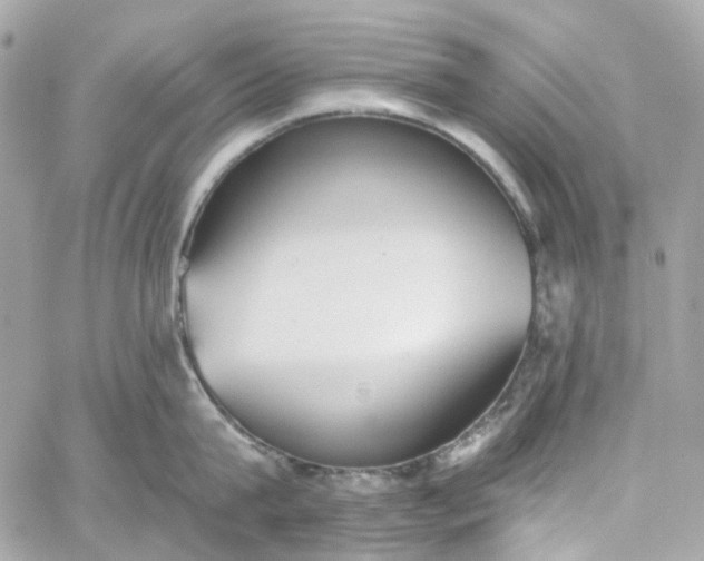 X0000059240815200510281929