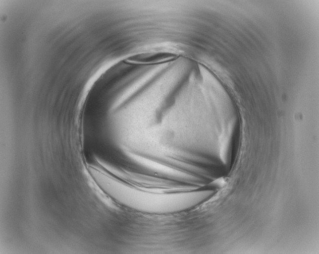 X0000059240816200510281929