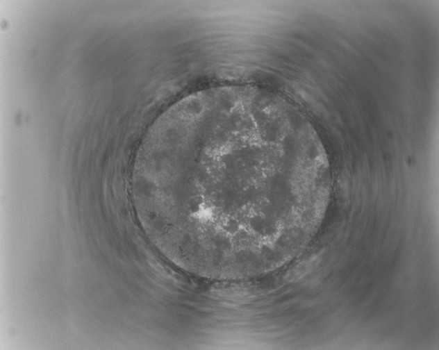 X0000059240817200510281928