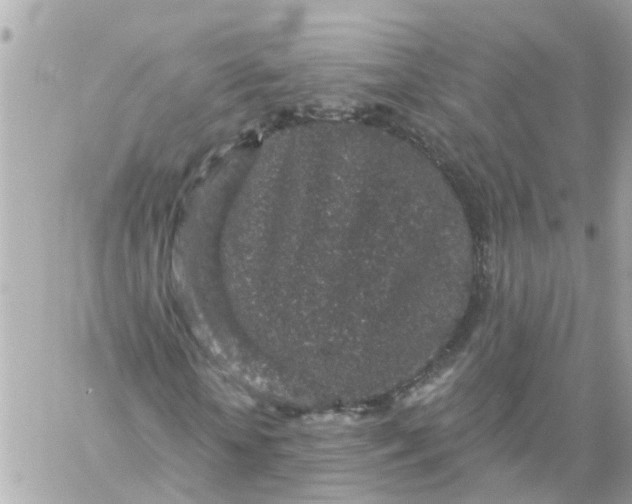 X0000059240818200510281928