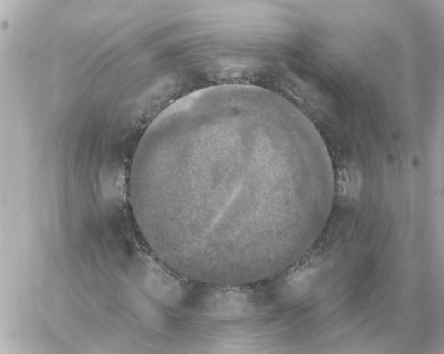 X0000059240820200510281928