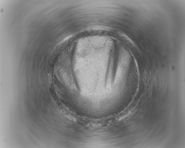 X0000059240821200510281928