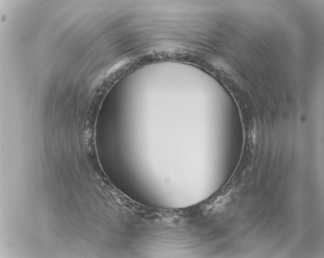 X0000059240822200510281928