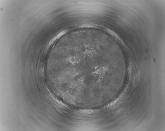 X0000059240825200510281928