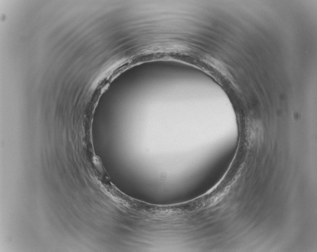 X0000059240826200510281928