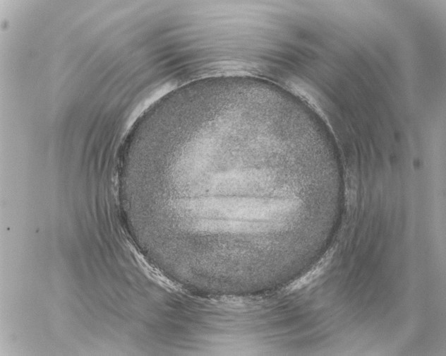 X0000059240827200510281928