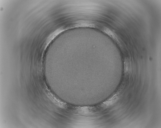 X0000059240828200510281928