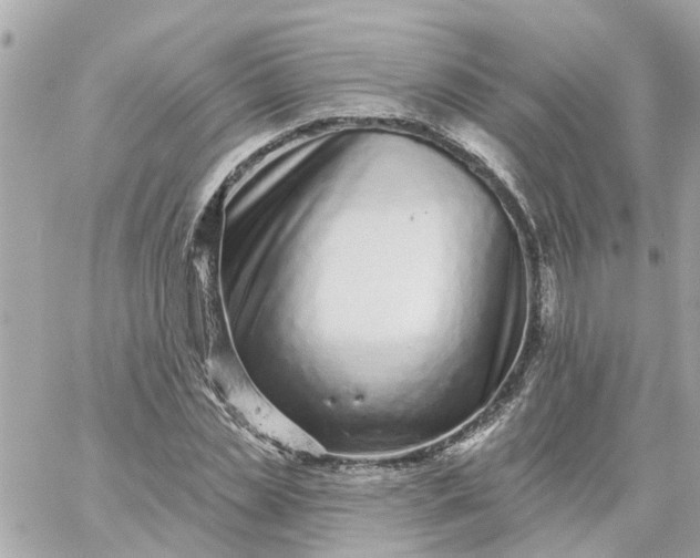 X0000059240829200510281928