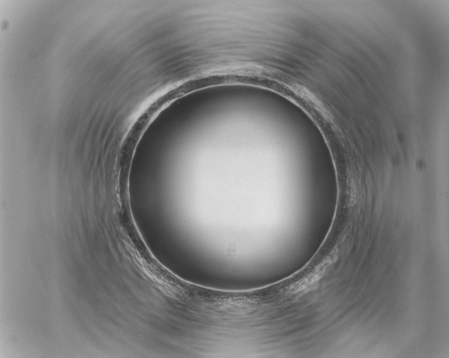 X0000059240830200510281928