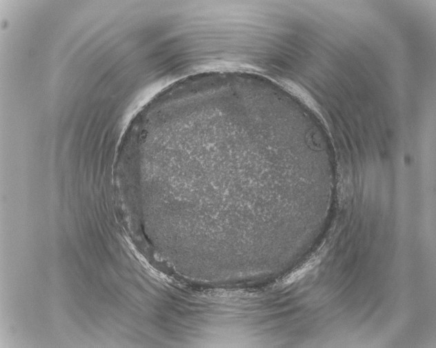 X0000059240831200510281928