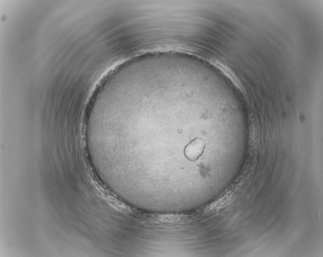 X0000059240832200510281928