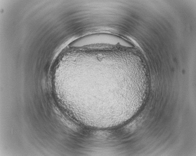 X0000059240835200510281928