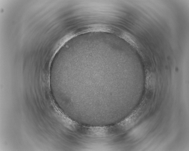 X0000059240836200510281928