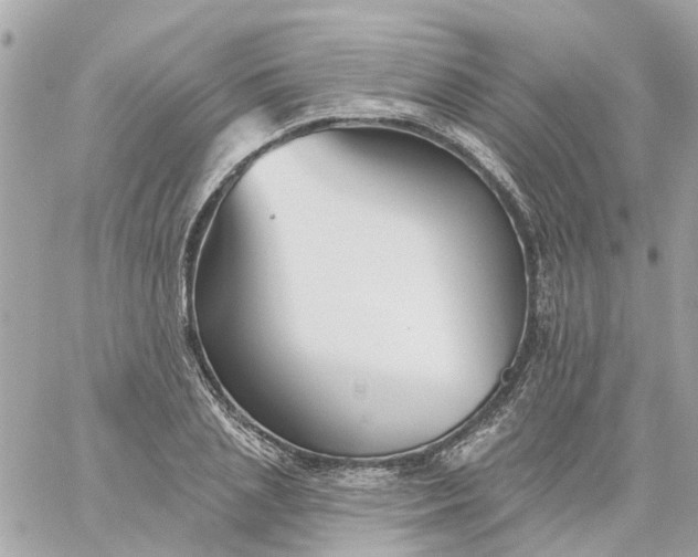 X0000059240837200510281928