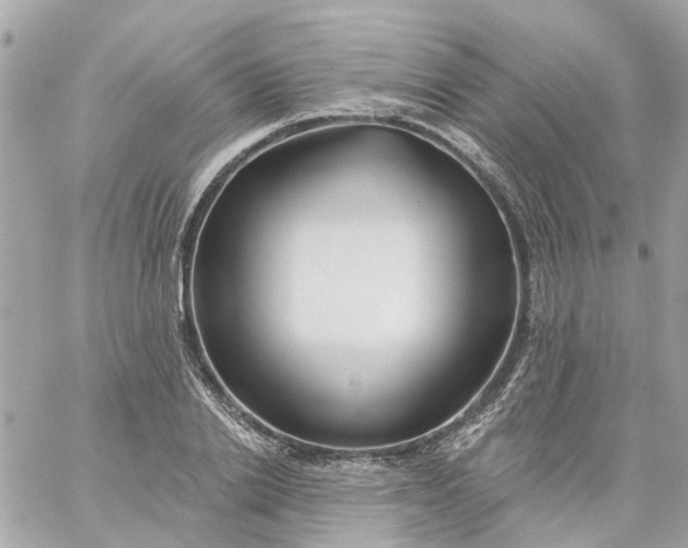 X0000059240838200510281928