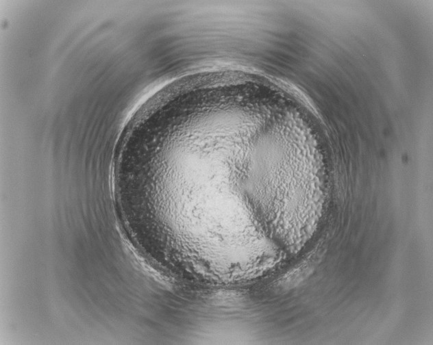 X0000059240839200510281928