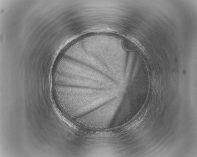 X0000059240840200510281929