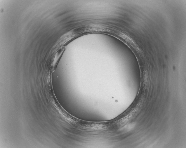 X0000059240841200510281929