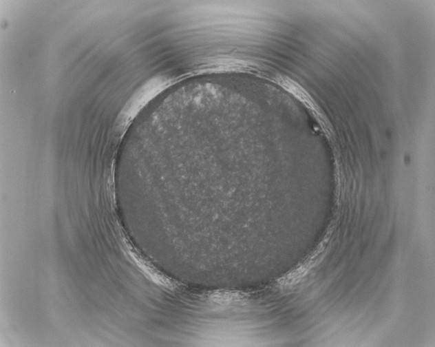 X0000059240842200510281929